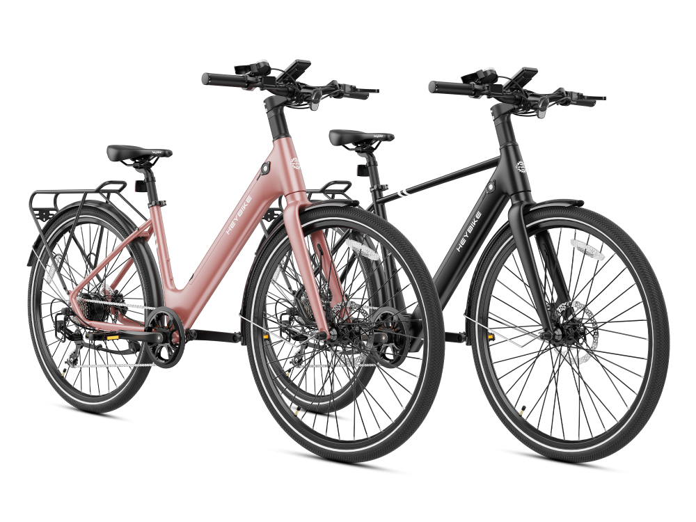 Combo ebikes