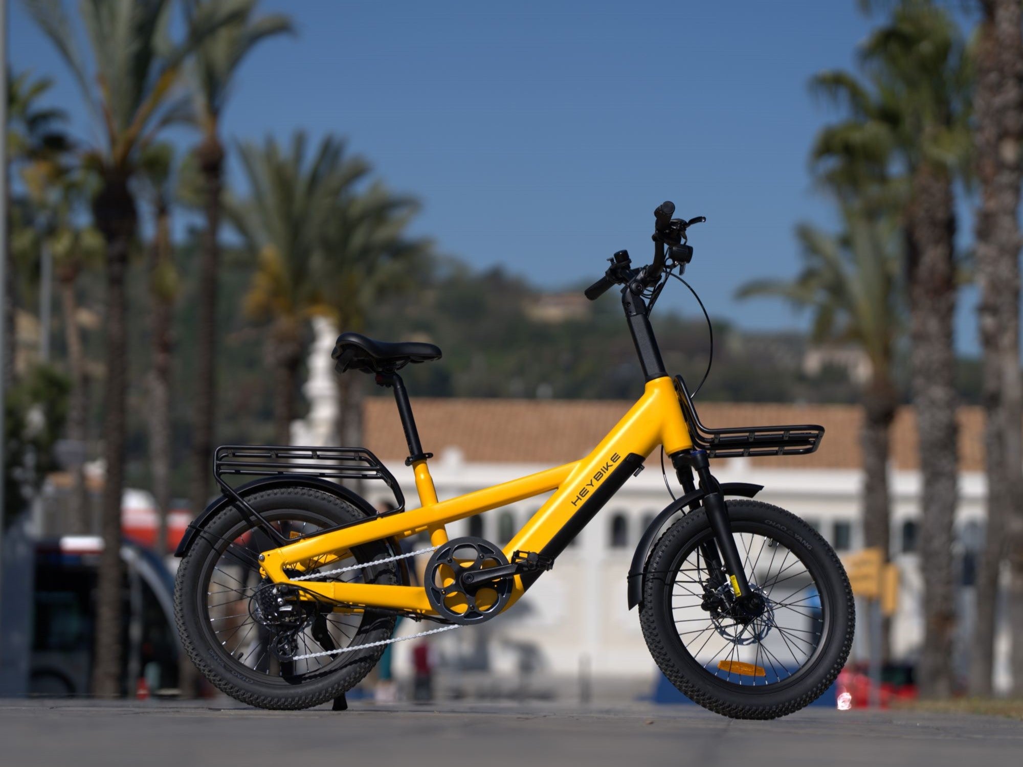 EC Compact Sport Cargo Ebike