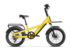 EC Compact Sport Cargo Ebike