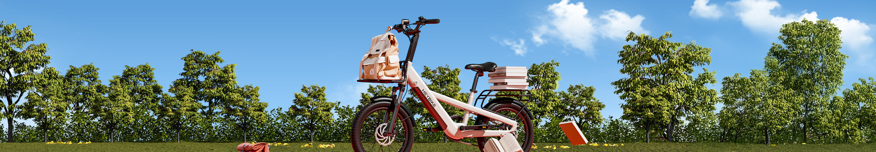 Electric Bike