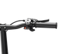 Helio F - Artists Limited Edition